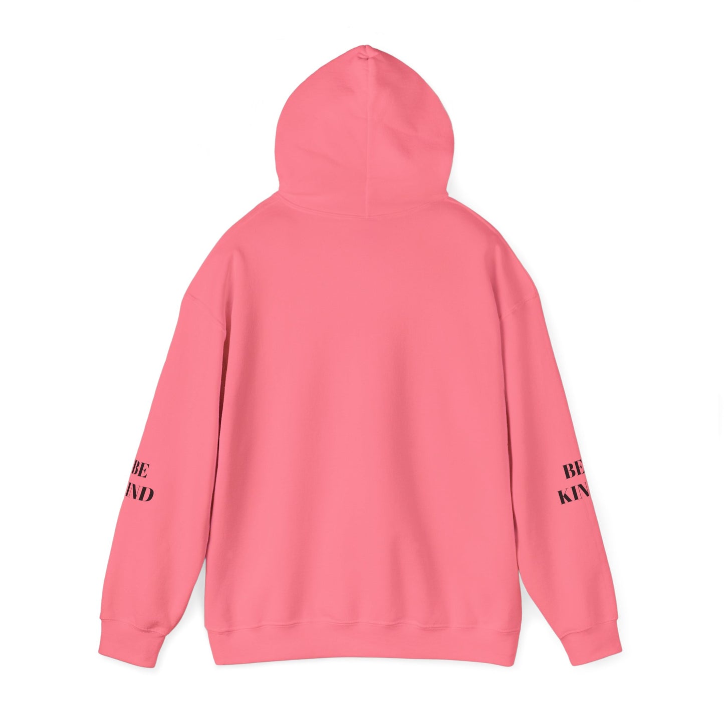 BE NICE HOODED SWEATSHIRT